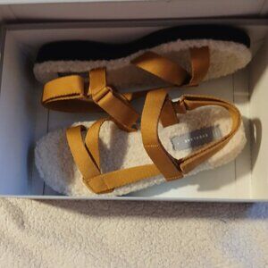 Everlane Women's Renew Teddy Sports Sandals Brown SZ 8